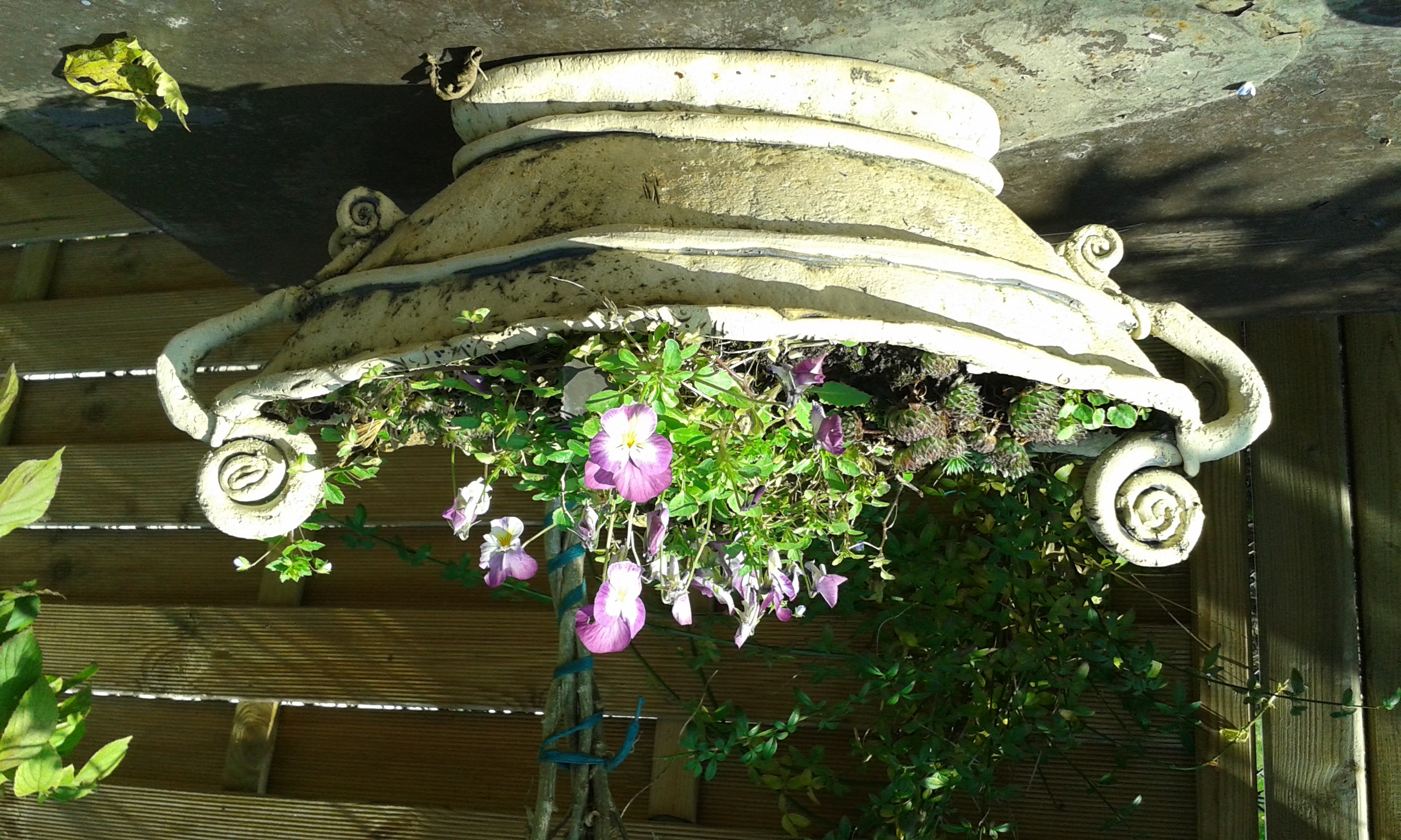 Ansicht einer Garten